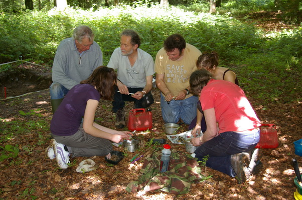 Archaeological investigations at Warren Wood