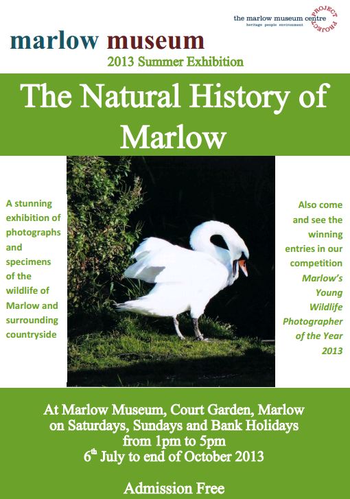 Marlow Museum Summer Exhibition: Natural History of Marlow