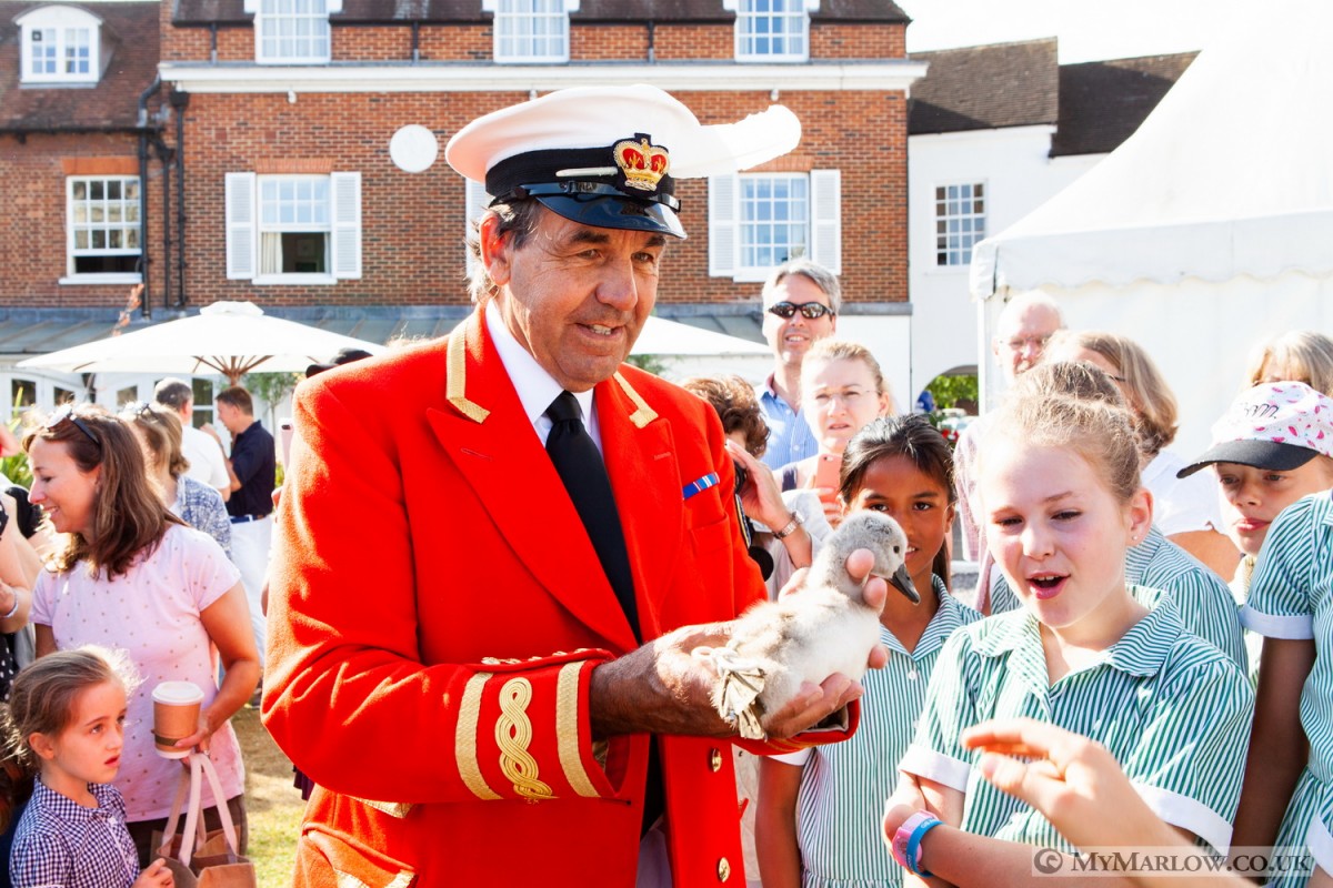 GALLERY: Swan Upping departs Marlow