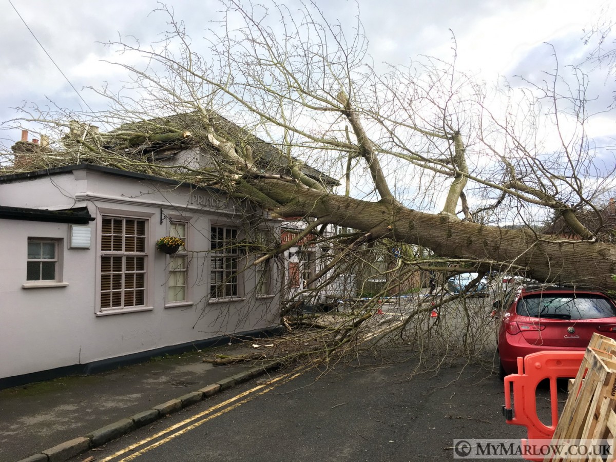 Prince of Wales pub damaged by fallen tree * NOW REOPENED*