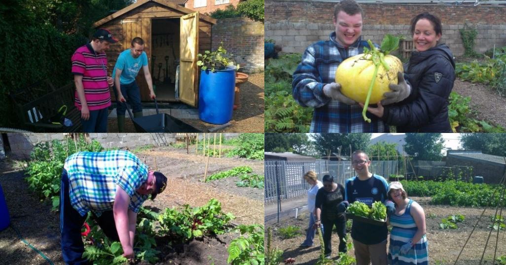MyMarlow Spotlight: The Marlow Rotary Gardening Club