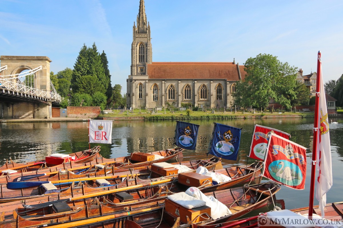 * GALLERY* Swan Upping 2019