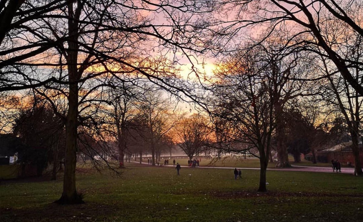 Night-time security patrols for Higginson Park