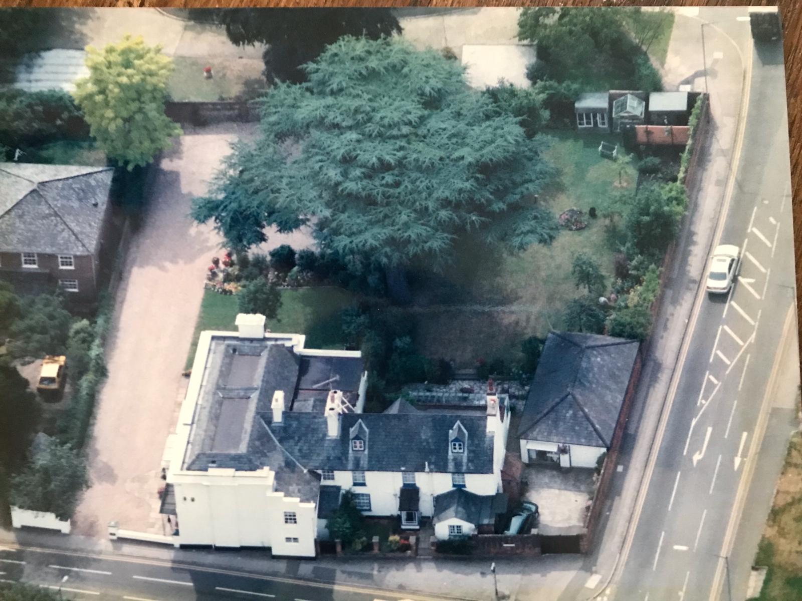 Farewell to an iconic Marlow tree