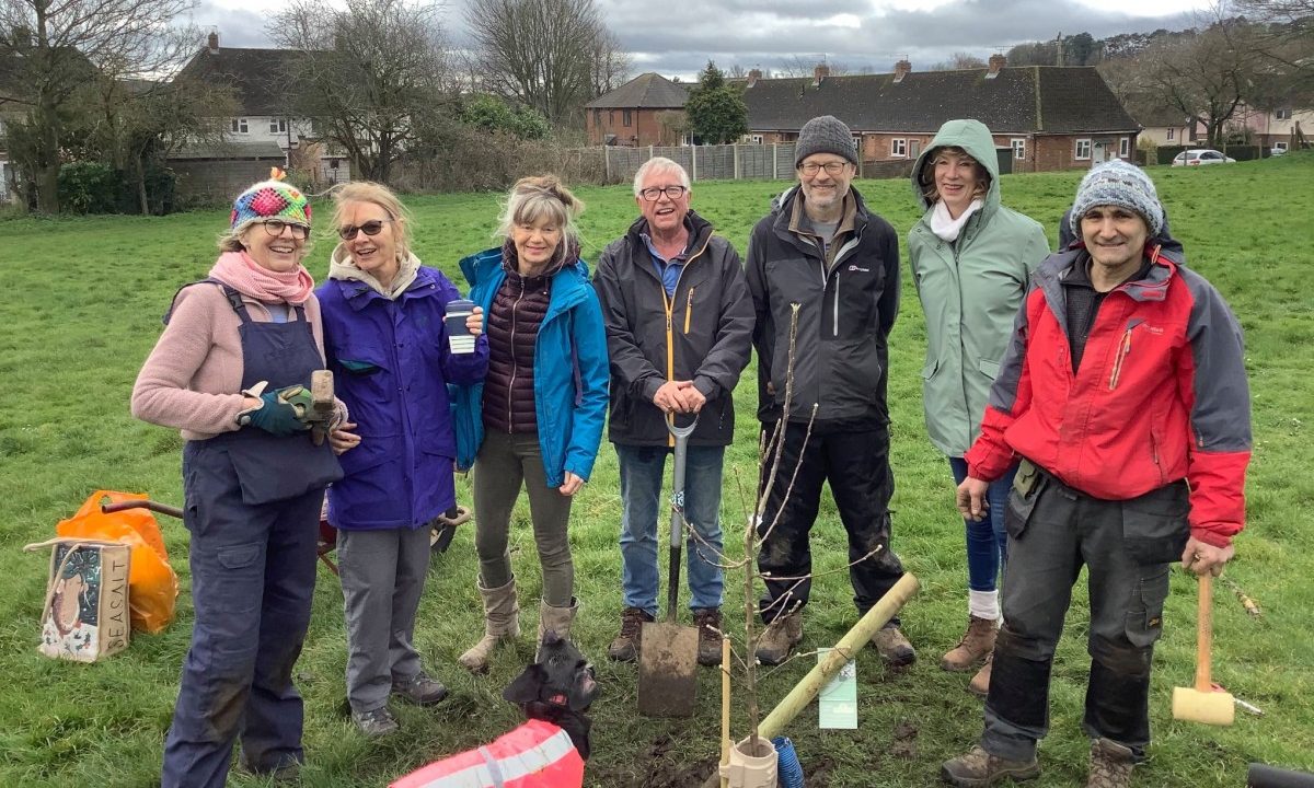 New Fruit Trees for Seymour Park