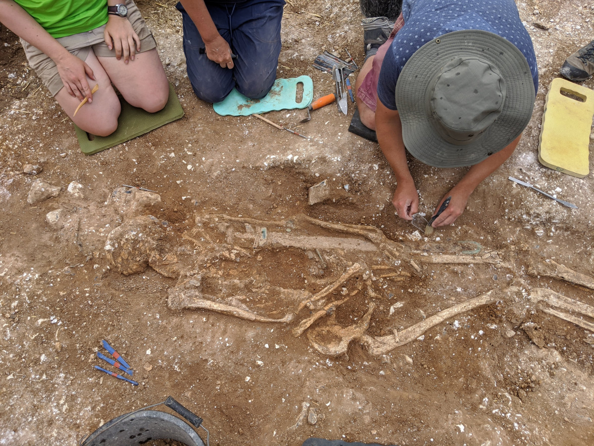 “The Marlow Warlord” exciting Anglo-Saxon burial site discovered