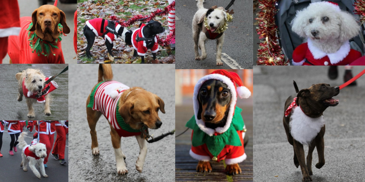Marlow Santas Fun Run – K9 Challenge