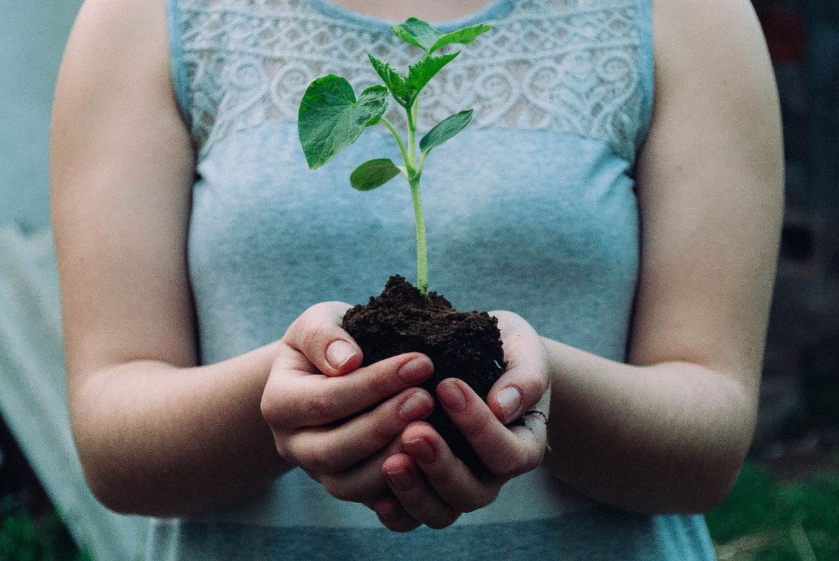 Transition Town Marlow launches Community Grants scheme