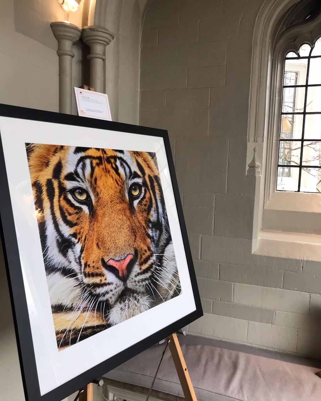 Tiger Art Exhibition – The Year of the Tiger