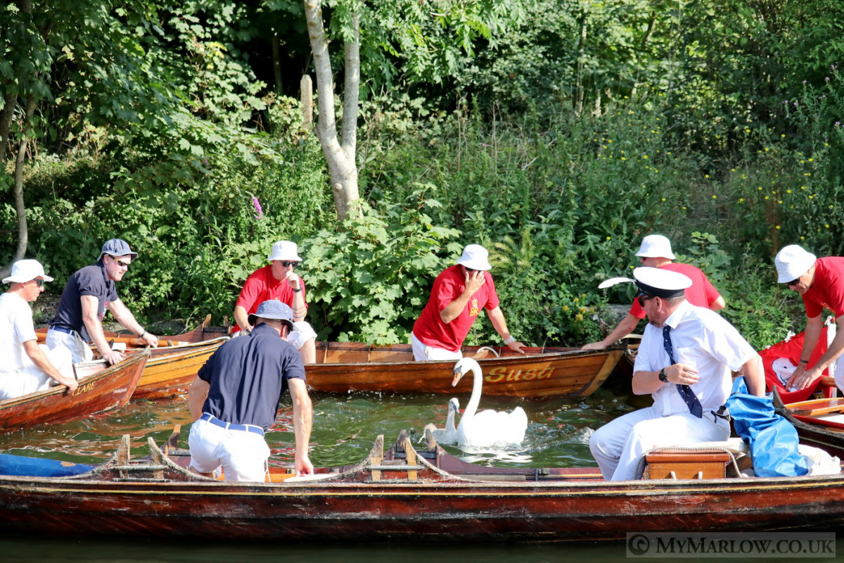 Swan Upping 2022 *GALLERY*