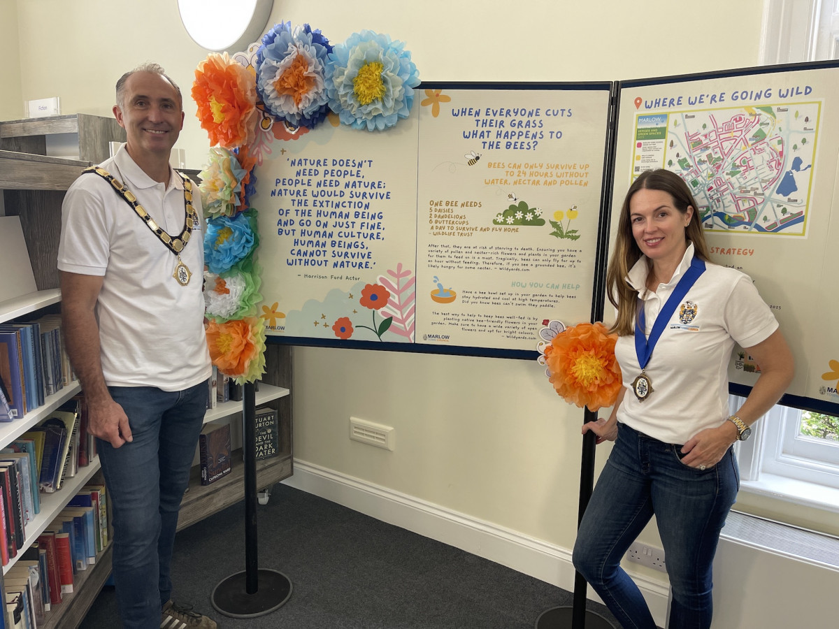 Explore How Marlow Town Council Is Helping Pollinators