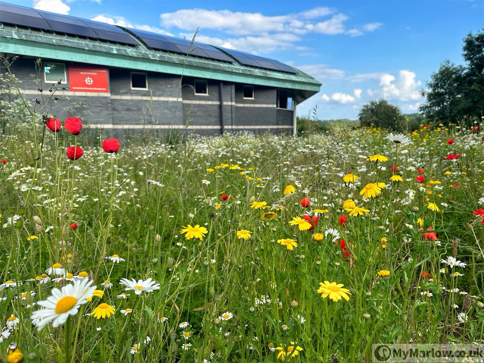 Wild Marlow restores wildlife area at Marlow Fire Station
